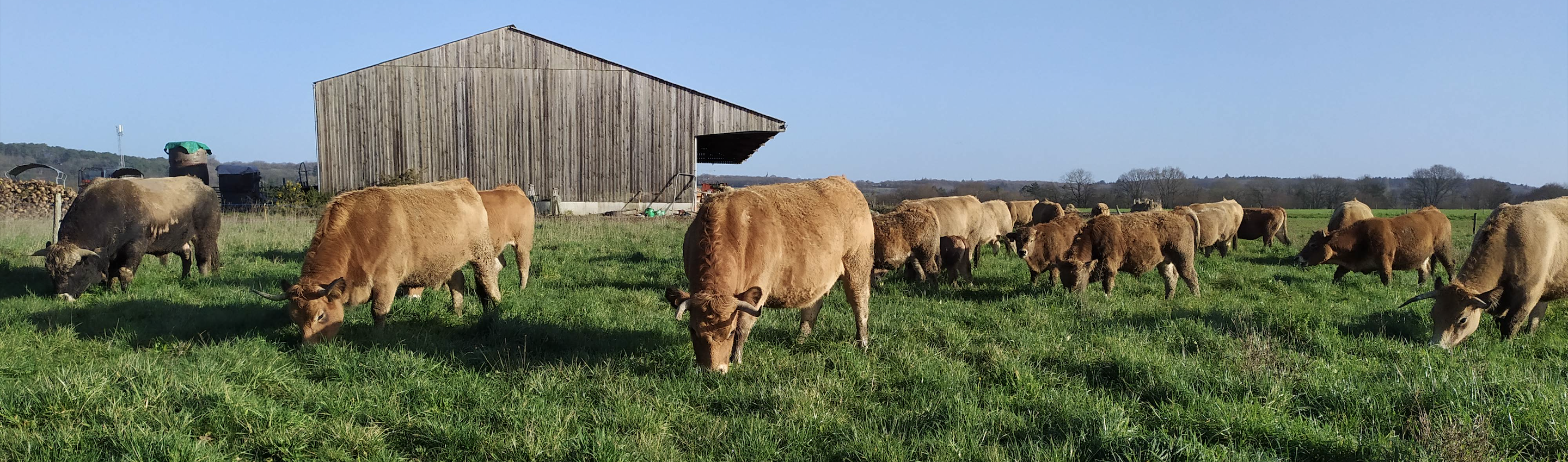 Pauline propriétaire de la Ferme Lulu la Perrière