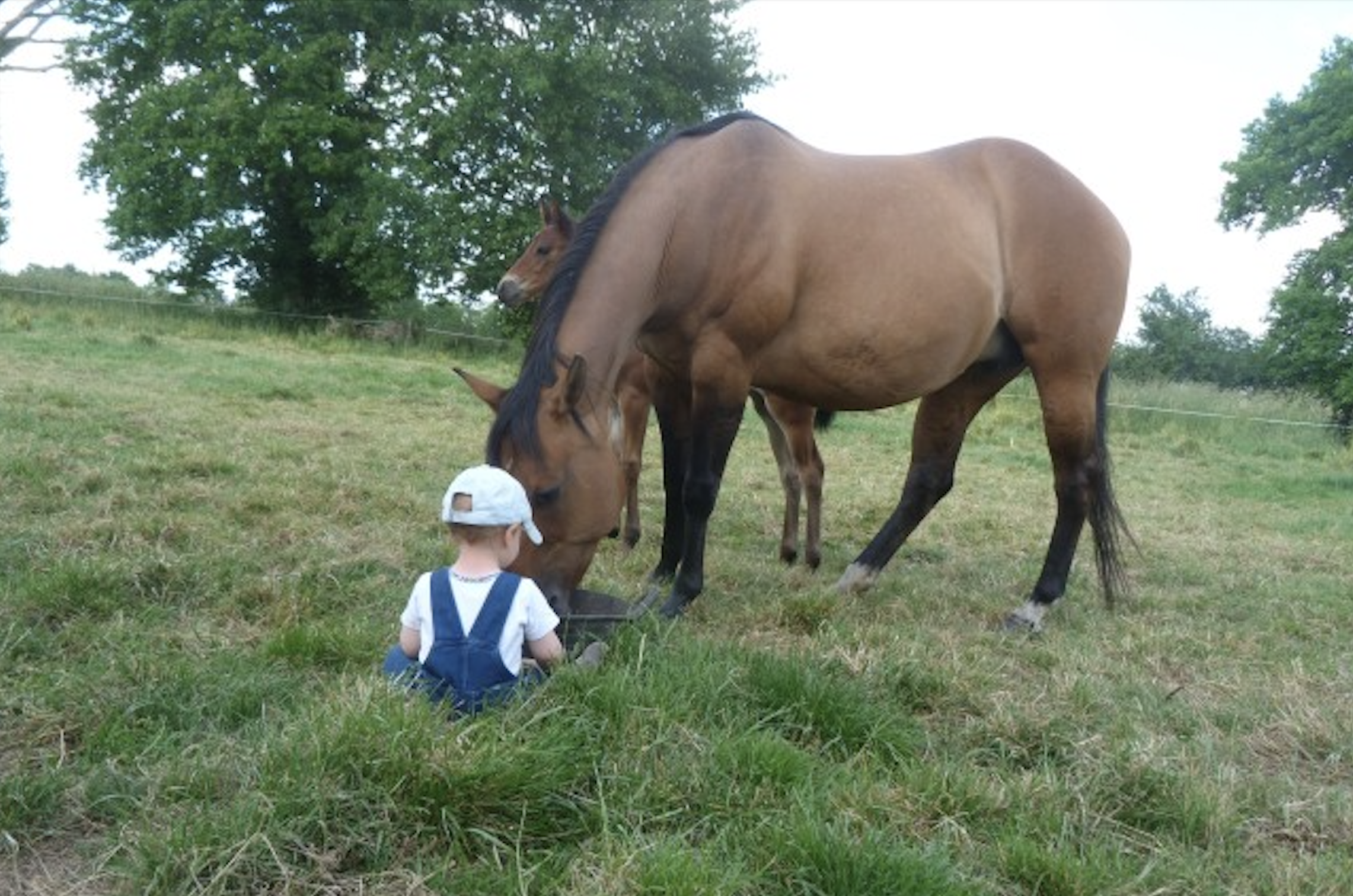 Ferme équipiste Guichen - Ferme Lulu la Perrière