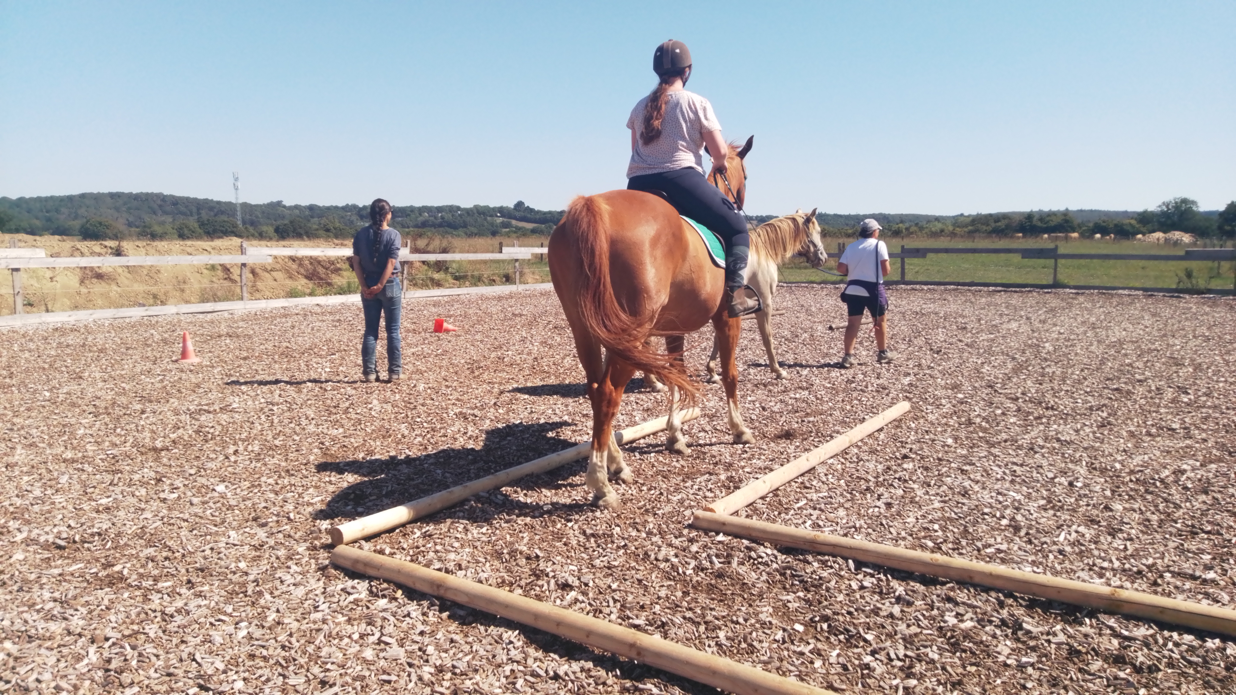 Cours d'équitation Guichen - Ferme Lulu la Perrière