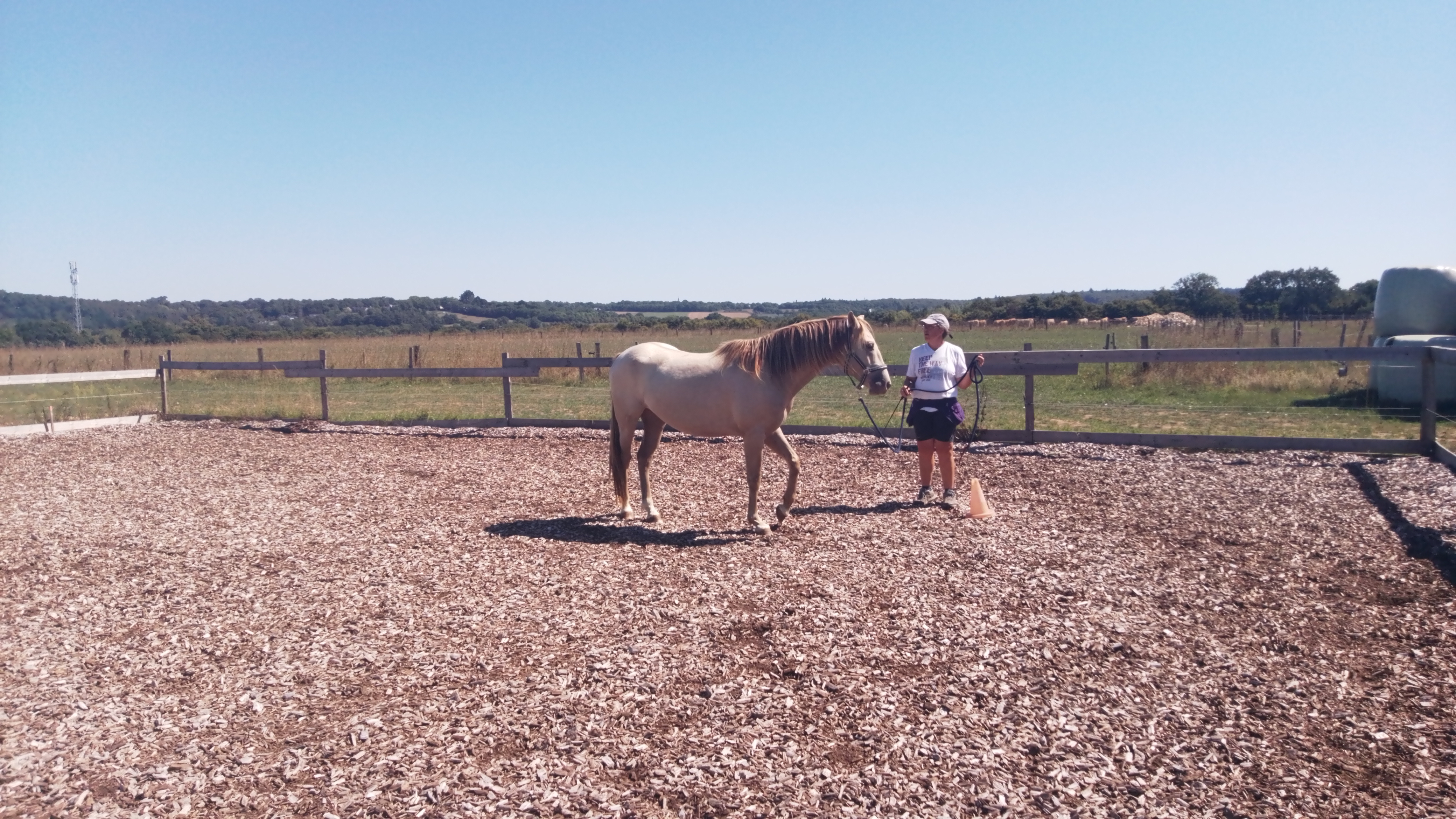Chevaux en extérieur Guichen - Ferme Lulu la Perrière